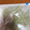 babel66t's cooksnap of when they made 実山椒のアク抜き.