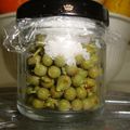 mmameco's cooksnap of when they made 青いまま実山椒.