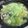 マールマル's cooksnap of when they made 和田アキ子もビックリ☆煮込みラーメン鍋.