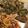 moco00moco's cooksnap of when they made ✪鯖のピリ辛ソテー✪.