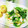 めみたん☆'s cooksnap of when they made ちくわと水菜のおいマヨ.