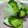 花いちもん's cooksnap of when they made お茶漬けdeきゅうりの漬け物.