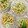 ふたごゆき's cooksnap of when they made 豆苗と人参の胡麻味噌和え.