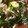 さおりん@料理特訓中's cooksnap of when they made ほうれん草としめじの卵炒め.