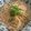 IMKI's cooksnap of when they made 一発たらこクリームパスタ♡Amway.