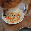 クック2GVQ9Y☆'s cooksnap of when they made 犬用＊ｻｻﾐと野菜のｽｰﾌﾟご飯.