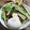 miwaco1207's cooksnap of when they made 甘辛挽肉のサラダうどん☆.
