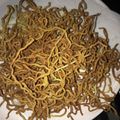 まめまるM's cooksnap of when they made 簡単！安い！　揚げ麺♪.