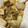no1642's cooksnap of when they made ご飯にかけたい♪鶏もやしの旨生姜焼き.