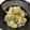 クックmichi☆♪'s cooksnap of when they made 簡単！そら豆ともやしのナムル☆.