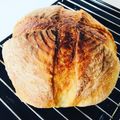 ナツのママにゃん☆'s cooksnap of when they made 中種法で作る【カンパーニュ】.