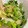 ゆっくん1129's cooksnap of when they made アジの三枚おろしと刺身とたたき.