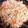 ♬あじさいのレシピ♬'s cooksnap of when they made 保育園のやきそば.