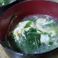 まゆみきママ's cooksnap of when they made 簡単！法蓮草玉子の春雨スープ.