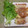 パンダさんでーす。's cooksnap of when they made 豚巻きおジャガsanの揚げフライ.