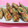 クック63TIFL☆'s cooksnap of when they made 超簡単☆ちくわの磯辺揚げ.