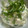 なみち～'s cooksnap of when they made 簡単☆きゅうりと豆腐のゴマたっぷり和え.