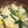しんにし's cooksnap of when they made ＊簡単♪シャンタンde鶏皮と卵のスープ＊.