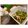 KEI〜☆'s cooksnap of when they made 簡単★おつまみ★ささみとザーサイ.