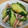 hiroko1981's cooksnap of when they made ボイルいかときゅうりの韓国風和え物.