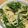 saku71's cooksnap of when they made やみつき＊和風たらこパスタ.