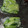 クックUL8OCM☆'s cooksnap of when they made ほうれん草・小松菜の冷凍保存.