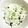 クックGB6431☆'s cooksnap of when they made キャベツ・大葉・海苔のワサビ麺つゆ和え♪.