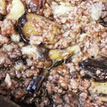 クック5XQ1UH☆'s cooksnap of when they made 簡単！ナスと挽肉の炒め物.
