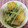 こうきとだいきママ's cooksnap of when they made 水菜とお麩と油揚げの煮びたし.