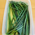 カフェ店員M子's cooksnap of when they made 煮ないわらびのアク抜き.