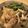 ぐみのママ's cooksnap of when they made 赤魚のみぞれ煮♪.