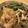 ぐみのママ's cooksnap of when they made 赤魚のみぞれ煮♪.