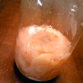 まやっきー！'s cooksnap of when they made 桜色♪新しょうがの甘酢漬け.