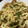 Dyayoi's cooksnap of when they made コク旨♪もやしのチーズソース炒め☆.