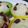 haruharuru's cooksnap of when they made 簡単！10分！フライパン蒸しパン.