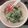 あゆみだ21's cooksnap of when they made 離乳食中期〜後期 食パンのヨーグルト和え.