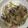 かおり♡♡♡'s cooksnap of when they made 簡単♡きのことベーコンのガーリック炒め♪.
