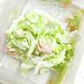 クックGB6431☆'s cooksnap of when they made キャベツの鮭フレークからしマヨネーズ和え.