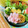 ❀akiko❀'s cooksnap of when they made ＊ハムのお花＊基本の『き』②ロースハム編.