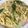 クックDRQB6R☆'s cooksnap of when they made アサリときのこのクリームパスタ.