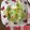 クックSB7K4U☆'s cooksnap of when they made 簡単な白菜浅漬け.