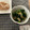  milkchoco's cooksnap of when they made ほうれん草ときのこのポン酢和え.