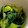 MULA's cooksnap of when they made 小松菜と枝豆のおひたし♪簡単.