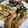 kenpin's cooksnap of when they made レンジで1分！焼き鳥のタレ(福井秋吉風).