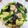 とみー＆ぱんちゃん's cooksnap of when they made ニラ玉キクラゲ♫ ささっともう一品.