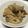 magmac's cooksnap of when they made 料亭の味！舞茸の炊き込みご飯.