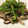 akasio10's cooksnap of when they made 大根とピーマンときのこの旨々炒め。.
