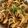 ペロリさとし's cooksnap of when they made レンジで簡単！焼かないモチモチ焼きそば！.