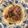 ぐりんばら's cooksnap of when they made 蒸し牛しゃぶ！.