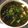 クック78R779☆'s cooksnap of when they made 春菊と豆腐のお味噌汁.